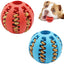 Dog Ball Toys for Small Dogs Interactive Elasticity Puppy Chew Toy Tooth Cleaning Rubber Food Ball Toy Pet Stuff Accessories - Slobuy