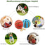 Dog Ball Toys for Small Dogs Interactive Elasticity Puppy Chew Toy Tooth Cleaning Rubber Food Ball Toy Pet Stuff Accessories - Slobuy