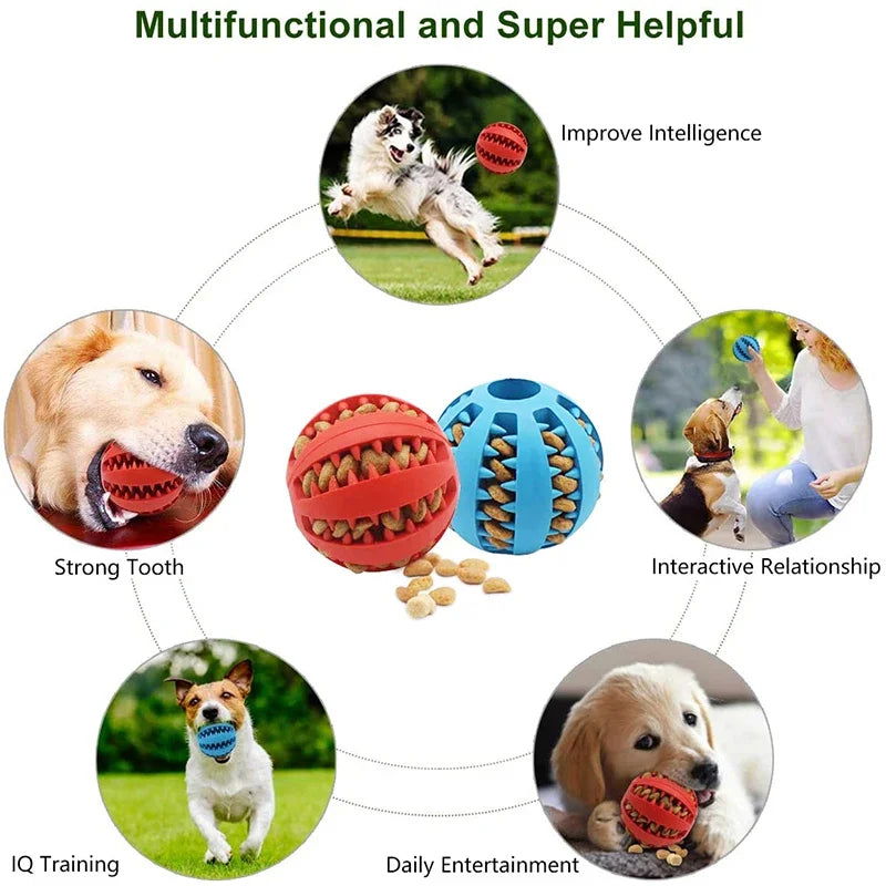 Dog Ball Toys for Small Dogs Interactive Elasticity Puppy Chew Toy Tooth Cleaning Rubber Food Ball Toy Pet Stuff Accessories - Slobuy