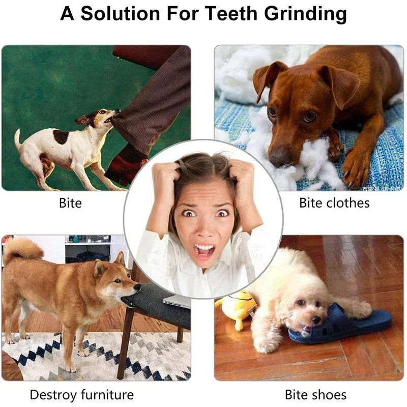 Dog Ball Toys for Small Dogs Interactive Elasticity Puppy Chew Toy Tooth Cleaning Rubber Food Ball Toy Pet Stuff Accessories - Slobuy