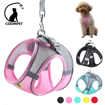 Dog Harness Leash Set for Small Dogs Adjustable Puppy Cat Harness Vest French Bulldog Chihuahua Pug Outdoor Walking Lead Leash - Slobuy