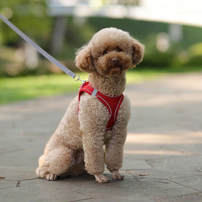 Dog Harness Leash Set for Small Dogs Adjustable Puppy Cat Harness Vest French Bulldog Chihuahua Pug Outdoor Walking Lead Leash - Slobuy