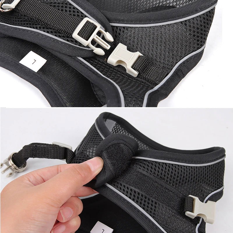 Dog Harness Leash Set for Small Dogs Adjustable Puppy Cat Harness Vest French Bulldog Chihuahua Pug Outdoor Walking Lead Leash - Slobuy