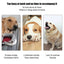 Dog Tennis Launcher Automatic Pet Dogs Chase Toy Mini Tennis Throwing Pinball Machine Fun Interactive Throw Rechargable Catapult - Slobuy