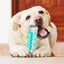 Dog Toy Teething Stick Chewable Teeth Cleaning Bones Dog Toothbrush TPR Safe Puppy Dental Care Cleaning Toys Supplies - Slobuy