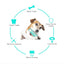 Dog Toy Teething Stick Chewable Teeth Cleaning Bones Dog Toothbrush TPR Safe Puppy Dental Care Cleaning Toys Supplies - Slobuy