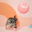 Electric Cat Ball Toys Automatic Rolling Smart Cat Toys for Cats Training Self-moving Kitten Toys for Indoor Interactive Playing - Slobuy