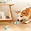 Electric Cat Ball Toys Automatic Rolling Smart Cat Toys for Cats Training Self-moving Kitten Toys for Indoor Interactive Playing - Slobuy
