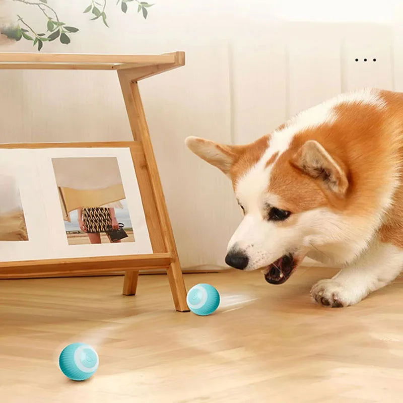 Electric Cat Ball Toys Automatic Rolling Smart Cat Toys for Cats Training Self-moving Kitten Toys for Indoor Interactive Playing - Slobuy