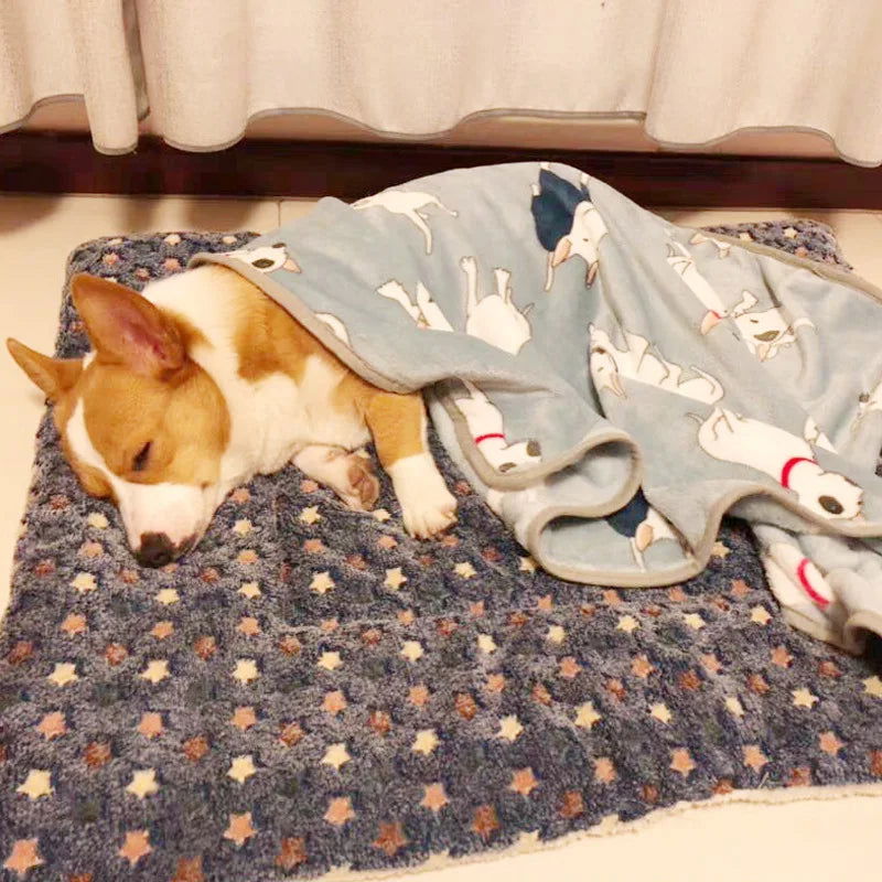 Flannel Thickened Dog Bed Mat Soft Pet Sleeping Mat for Dogs Cats Winter Warm Pet Blanket - Slobuy