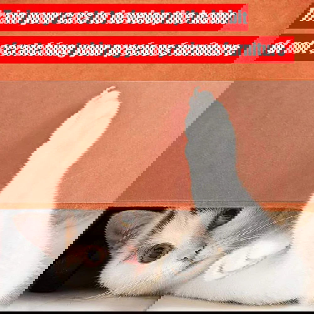 Furniture Protectors From Cats Scratch Anti Scratch Cat Training Tape Safe Clear Tapes Couch Protectors Sofa Corner Scratching - Slobuy