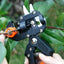Garden Tools Professional Farming Pruning Shears Grafting Scissor Fruit Tree Vaccination Secateurs Pruning Cutting Knife - Slobuy