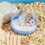 Hamster Bathroom House Sandbox Full Transparent Urine Sand Basin Golden Bear Supplies Sand Bath Container Small Pet Bathroom - Slobuy
