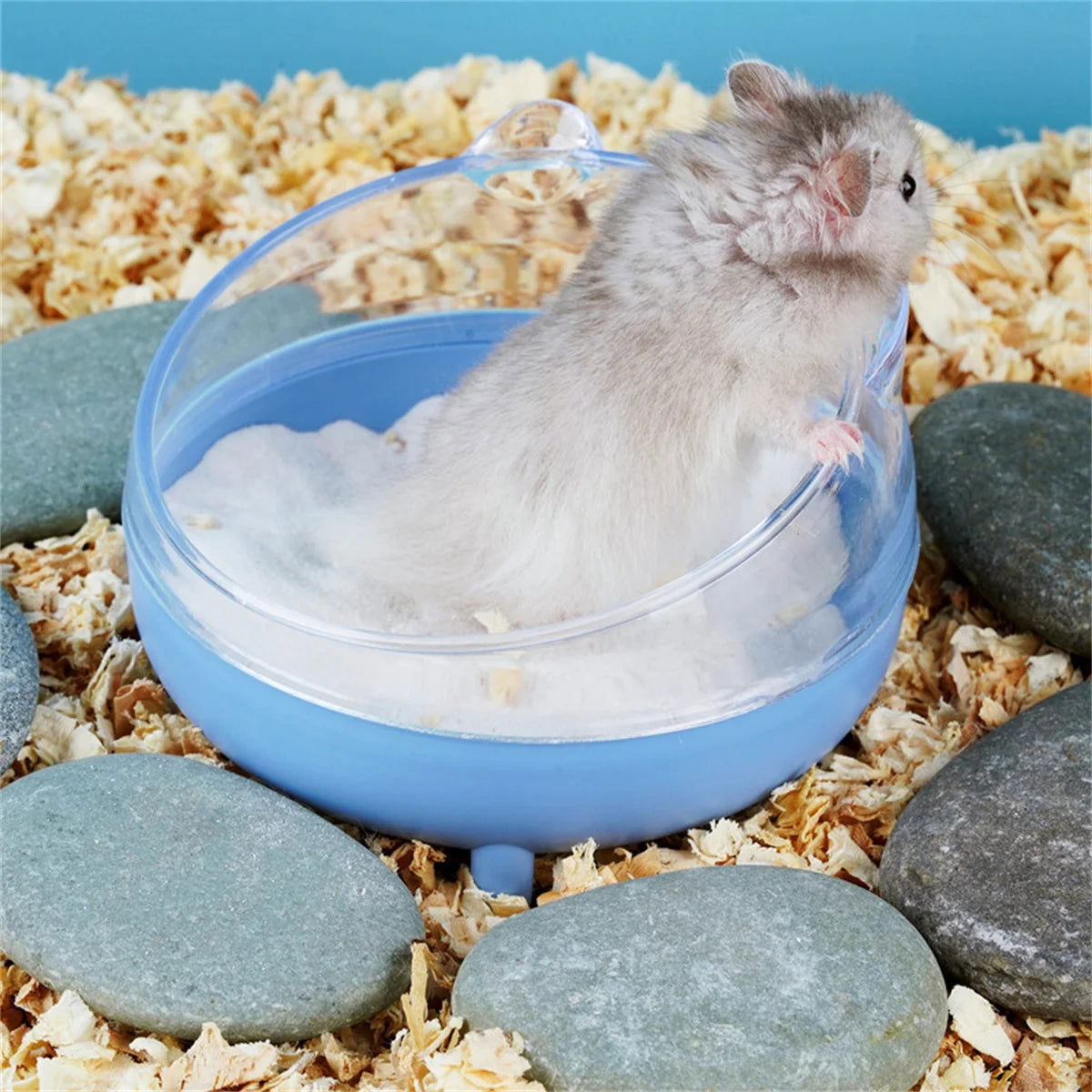 Hamster Bathroom House Sandbox Full Transparent Urine Sand Basin Golden Bear Supplies Sand Bath Container Small Pet Bathroom - Slobuy