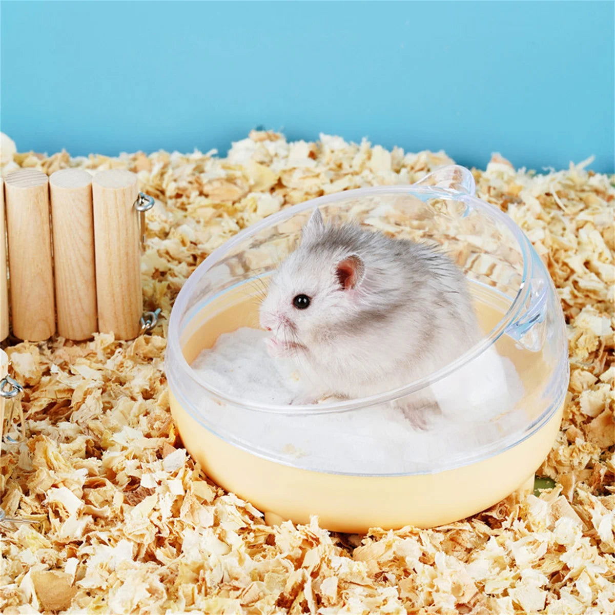 Hamster Bathroom House Sandbox Full Transparent Urine Sand Basin Golden Bear Supplies Sand Bath Container Small Pet Bathroom - Slobuy