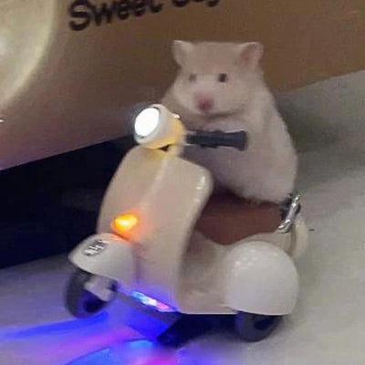 Hamster Toys 360-degree Rotation Motorcycle Lighting Electric Pet Rat Toy Hamster Accessories Motorcycle Electric Toys Rabbit - Slobuy