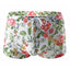 Hot Sell Swimwear Men Swim Boxers Low Waist Sexy Swimsuit Swimming Trunks Shorts Sunga hombre Bathing Suit - Slobuy