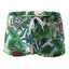 Hot Sell Swimwear Men Swim Boxers Low Waist Sexy Swimsuit Swimming Trunks Shorts Sunga hombre Bathing Suit - Slobuy