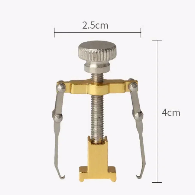 Ingrown Toenail Corrector Straightening Clip Pedicure Foot Nail Care Tools Stainless Steel Pedicure Treatment Onyxis Correction - Slobuy