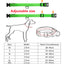 LED Glowing Dog Collar Adjustable Flashing Rechargea Luminous Collar Night Anti-Lost Dog Light HarnessFor Small Dog Pet Products - Slobuy