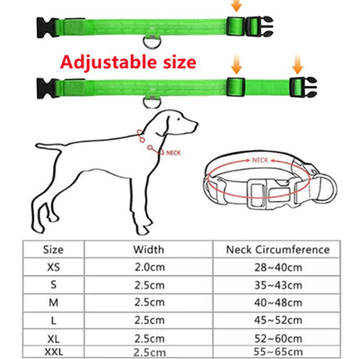 LED Glowing Dog Collar Adjustable Flashing Rechargea Luminous Collar Night Anti-Lost Dog Light HarnessFor Small Dog Pet Products - Slobuy