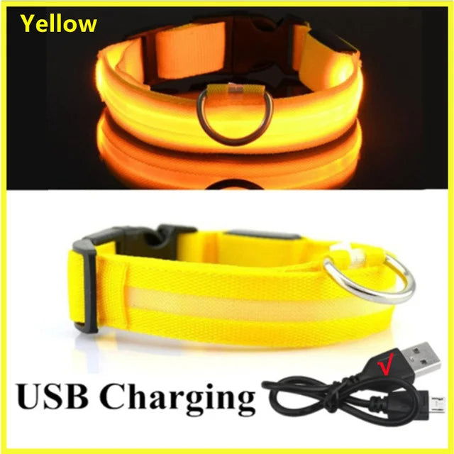 LED Glowing Dog Collar Adjustable Flashing Rechargea Luminous Collar Night Anti-Lost Dog Light HarnessFor Small Dog Pet Products - Slobuy
