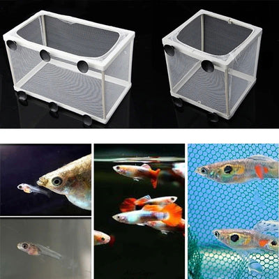 Fish Tank Aquarium Guppy Breeding Breeder Fish Baby Gauze Trap Box Isolator S/L - Slobuy