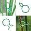 S/L 2 Size Garden Vine Strapping Clips Plant Bundled Buckle Ring Holder Tomato Garden Plant Stand Tool Garden Decor  Accessories - Slobuy
