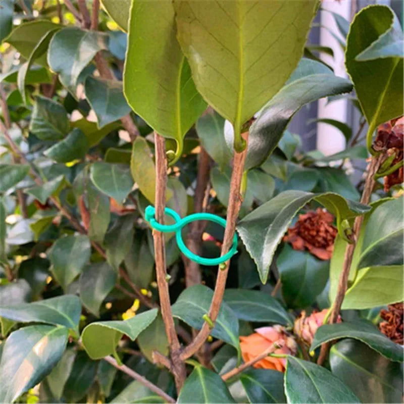 S/L 2 Size Garden Vine Strapping Clips Plant Bundled Buckle Ring Holder Tomato Garden Plant Stand Tool Garden Decor  Accessories - Slobuy