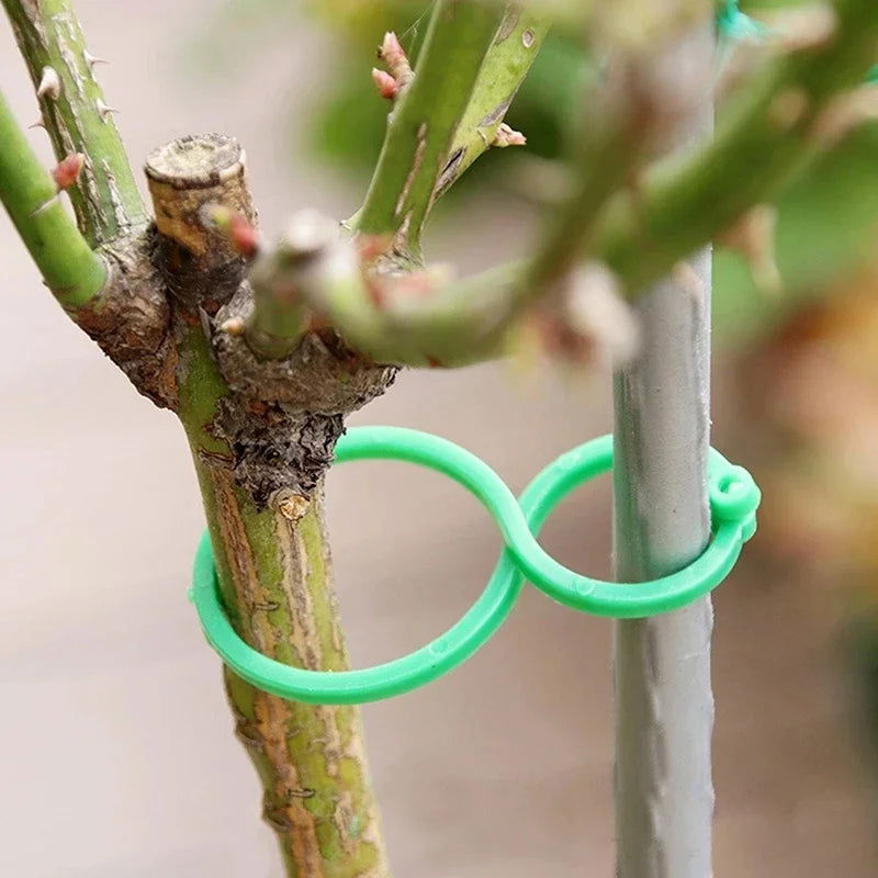 S/L 2 Size Garden Vine Strapping Clips Plant Bundled Buckle Ring Holder Tomato Garden Plant Stand Tool Garden Decor  Accessories - Slobuy