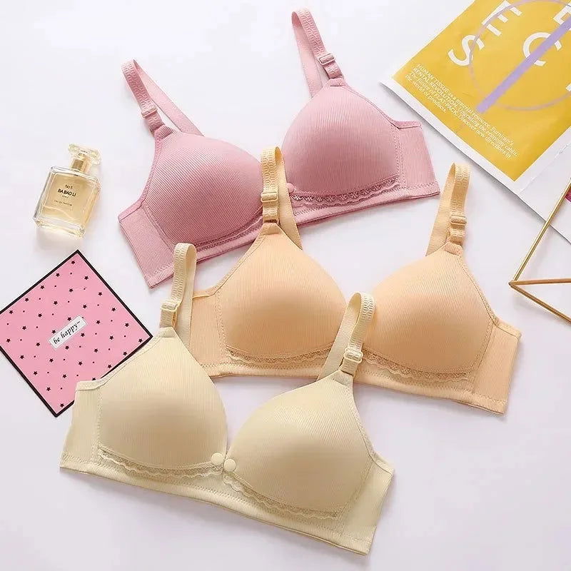 Lactation Underwear for Pregnant Women Women's Thin Gathered Anti-sagging Underwear Pre-pregnancy Postpartum Breastfeeding Bra - Slobuy