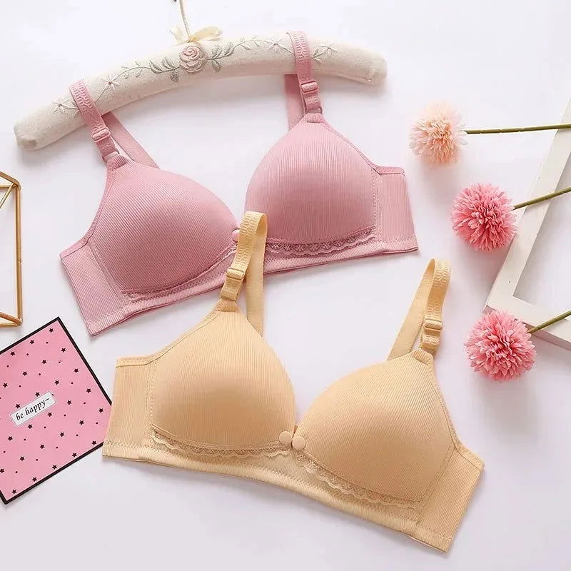 Lactation Underwear for Pregnant Women Women's Thin Gathered Anti-sagging Underwear Pre-pregnancy Postpartum Breastfeeding Bra - Slobuy