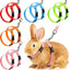 Low Price Rabbit Cat Harness and Leash Set Adjustable Nylon Harnesses for Bunny Kitten Pet Outdoor Walking Supplies Accessories - Slobuy