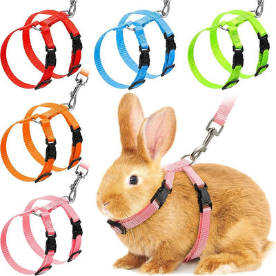 Low Price Rabbit Cat Harness and Leash Set Adjustable Nylon Harnesses for Bunny Kitten Pet Outdoor Walking Supplies Accessories - Slobuy