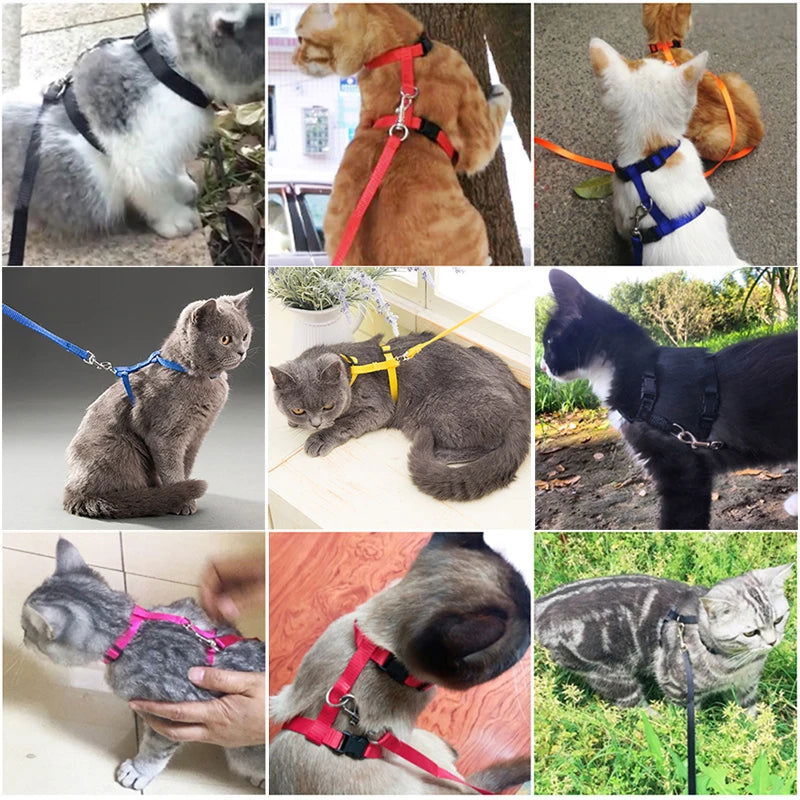 Low Price Rabbit Cat Harness and Leash Set Adjustable Nylon Harnesses for Bunny Kitten Pet Outdoor Walking Supplies Accessories - Slobuy