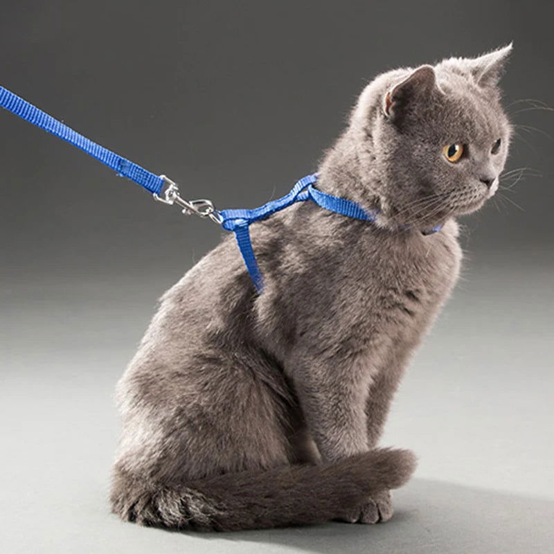 Low Price Rabbit Cat Harness and Leash Set Adjustable Nylon Harnesses for Bunny Kitten Pet Outdoor Walking Supplies Accessories - Slobuy