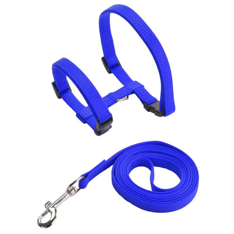 Low Price Rabbit Cat Harness and Leash Set Adjustable Nylon Harnesses for Bunny Kitten Pet Outdoor Walking Supplies Accessories - Slobuy