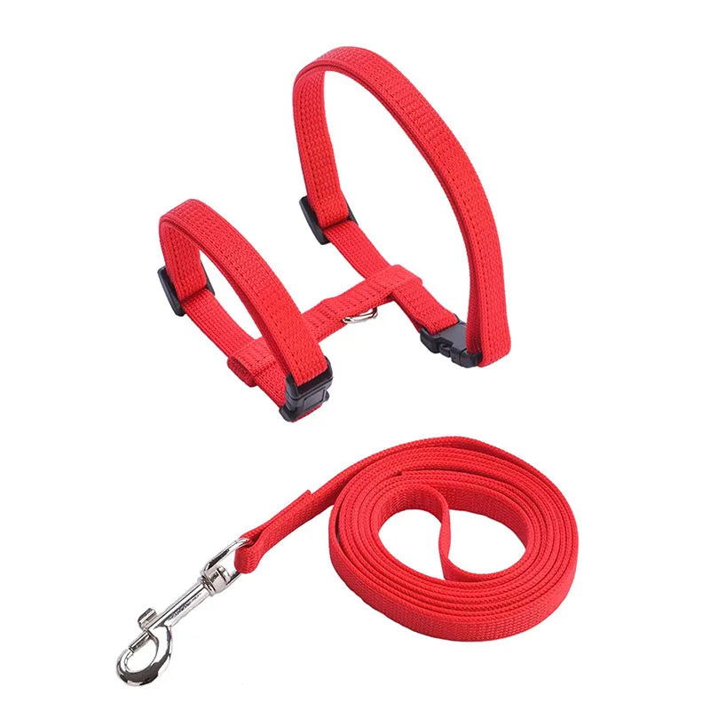 Low Price Rabbit Cat Harness and Leash Set Adjustable Nylon Harnesses for Bunny Kitten Pet Outdoor Walking Supplies Accessories - Slobuy