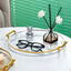 Luxury Storage Tray With Golden Handle Household Tea Dessert Fruit Storage Tray Living Room Kitchen Storage Plate Dinner Plate - Slobuy