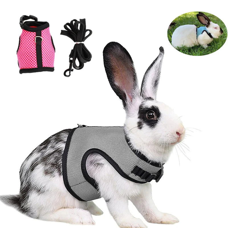Mesh Breathable Rabbit Harness and Leash Set for Rabbits Ferrets Bunny Accessories Cat Rope Harnesses Pet Supplies arnes conejo - Slobuy