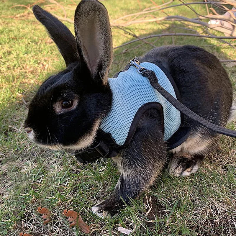 Mesh Breathable Rabbit Harness and Leash Set for Rabbits Ferrets Bunny Accessories Cat Rope Harnesses Pet Supplies arnes conejo - Slobuy