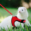 Mesh Breathable Rabbit Harness and Leash Set for Rabbits Ferrets Bunny Accessories Cat Rope Harnesses Pet Supplies arnes conejo - Slobuy