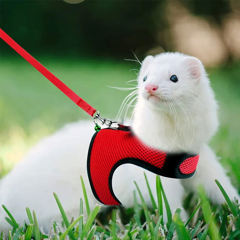 Mesh Breathable Rabbit Harness and Leash Set for Rabbits Ferrets Bunny Accessories Cat Rope Harnesses Pet Supplies arnes conejo - Slobuy