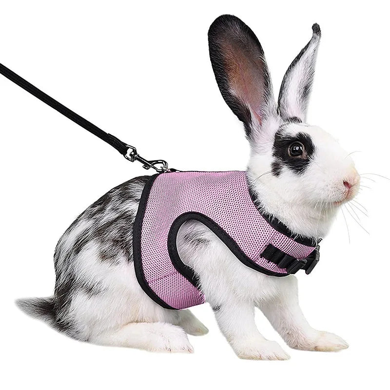 Mesh Breathable Rabbit Harness and Leash Set for Rabbits Ferrets Bunny Accessories Cat Rope Harnesses Pet Supplies arnes conejo - Slobuy