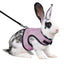Mesh Breathable Rabbit Harness and Leash Set for Rabbits Ferrets Bunny Accessories Cat Rope Harnesses Pet Supplies arnes conejo - Slobuy
