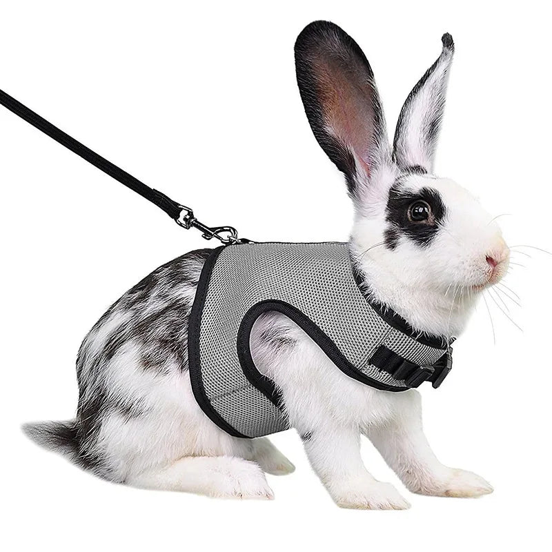 Mesh Breathable Rabbit Harness and Leash Set for Rabbits Ferrets Bunny Accessories Cat Rope Harnesses Pet Supplies arnes conejo - Slobuy