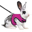 Mesh Breathable Rabbit Harness and Leash Set for Rabbits Ferrets Bunny Accessories Cat Rope Harnesses Pet Supplies arnes conejo - Slobuy