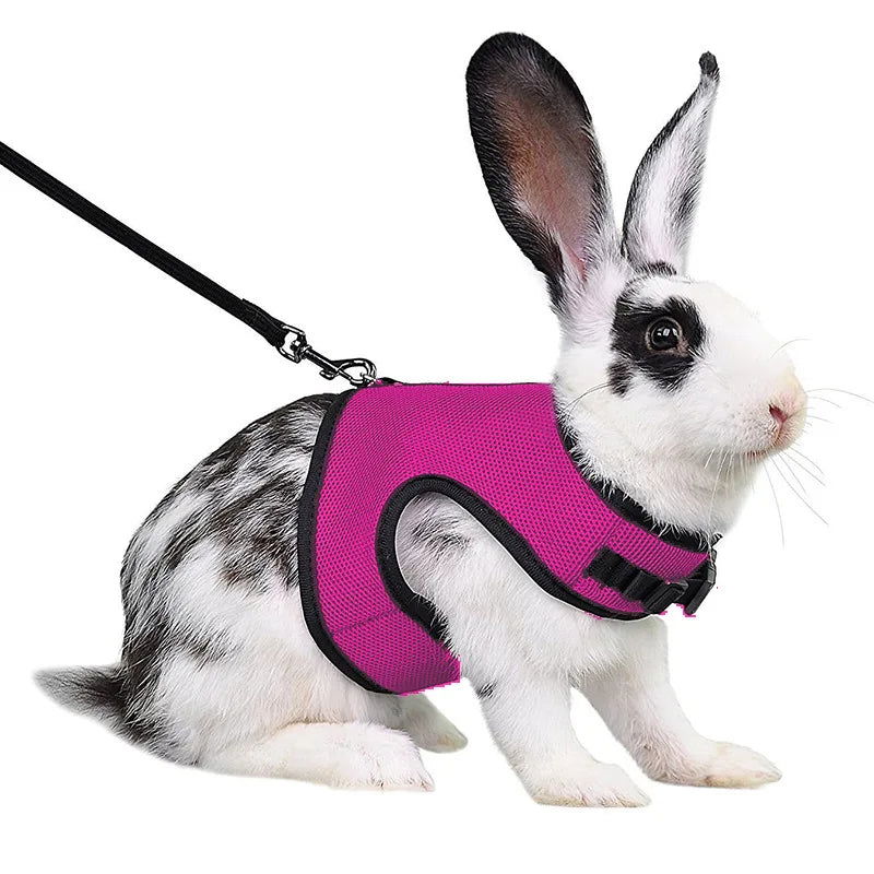 Mesh Breathable Rabbit Harness and Leash Set for Rabbits Ferrets Bunny Accessories Cat Rope Harnesses Pet Supplies arnes conejo - Slobuy