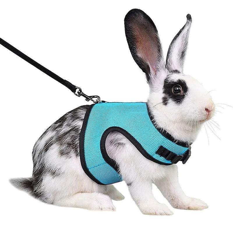 Mesh Breathable Rabbit Harness and Leash Set for Rabbits Ferrets Bunny Accessories Cat Rope Harnesses Pet Supplies arnes conejo - Slobuy