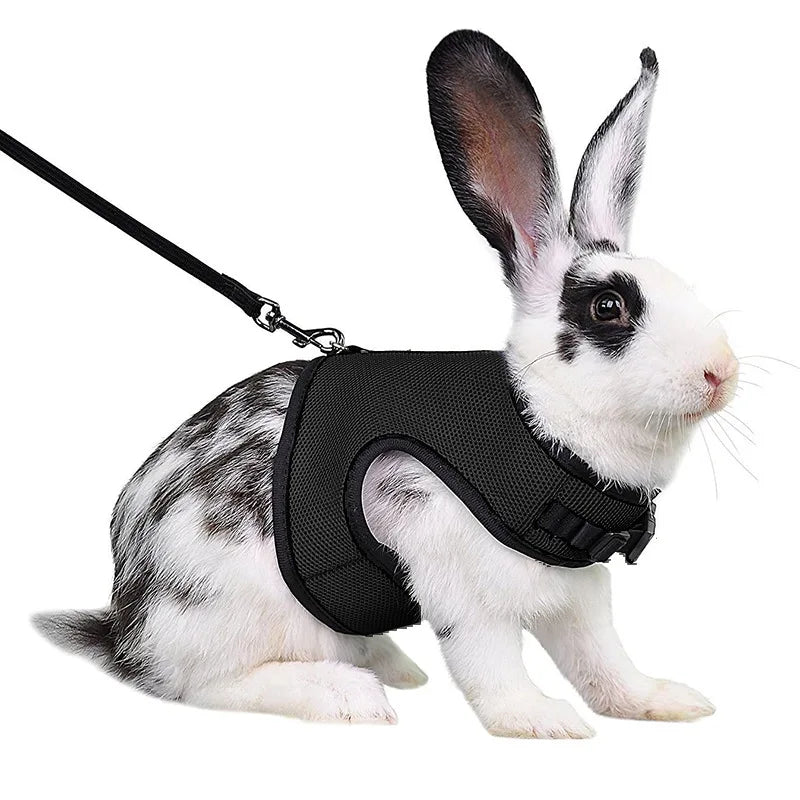 Mesh Breathable Rabbit Harness and Leash Set for Rabbits Ferrets Bunny Accessories Cat Rope Harnesses Pet Supplies arnes conejo - Slobuy